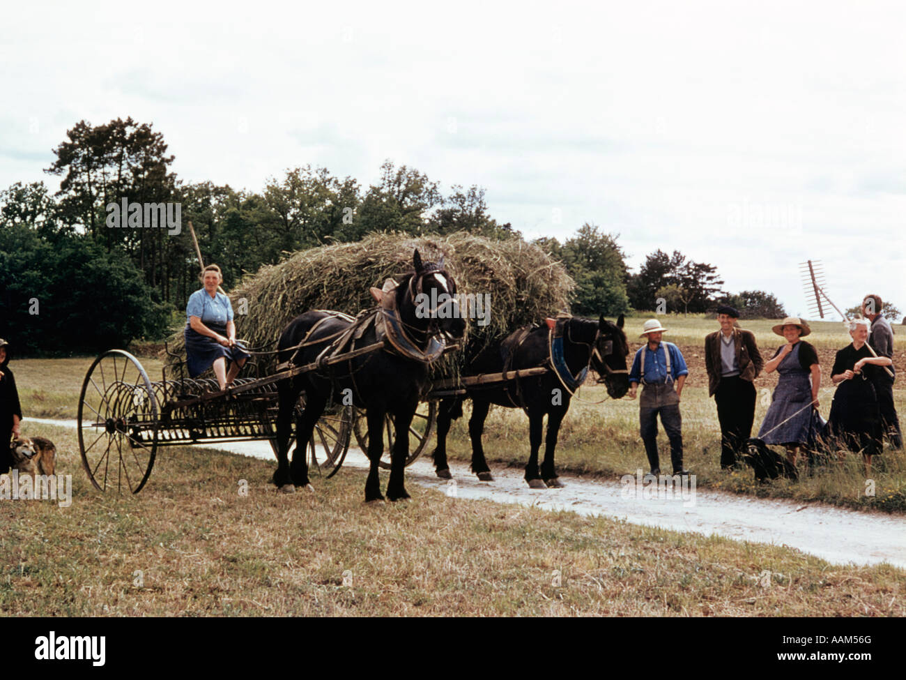Les agriculteurs paysans HOMMES FEMMES vieille charrette à foin TIRÉ PAR DES MÉTHODES DE RÉCOLTE SUR LE TERRAIN LE CENTRE DE LA FRANCE Banque D'Images