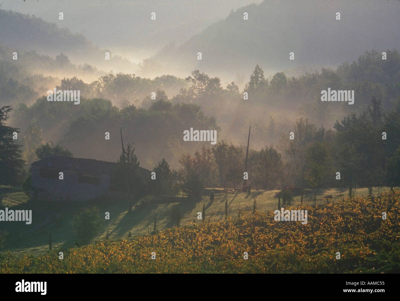 Italie Toscane Chianti Classico Banque D'Images