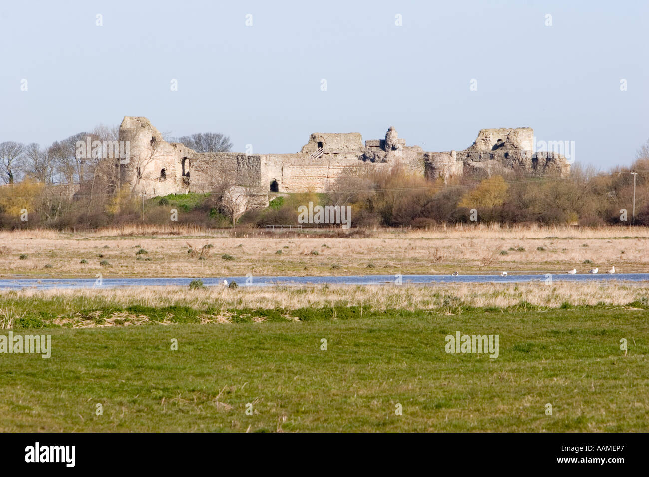 En face des champs qui, en 1066, le château de Pevensey étaient plages sur lesquelles l'invasion normande s'est posé Banque D'Images