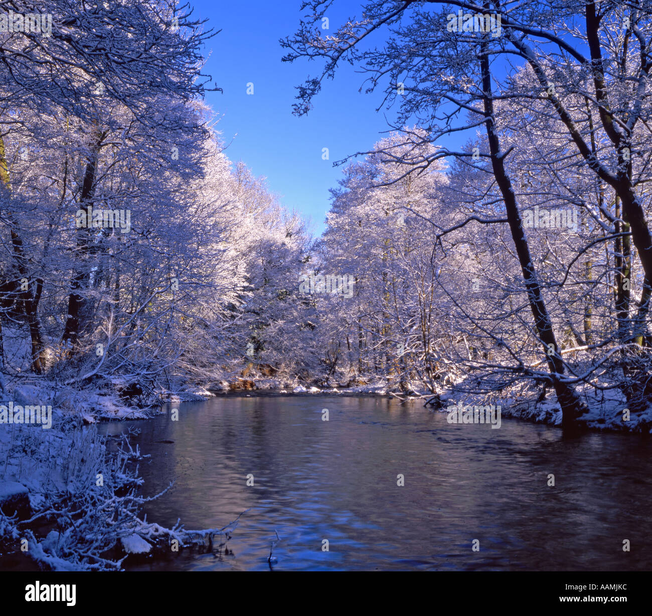 Rivière Leven en hiver la neige, près de Hutton le rugby, North Yorkshire, Angleterre Banque D'Images