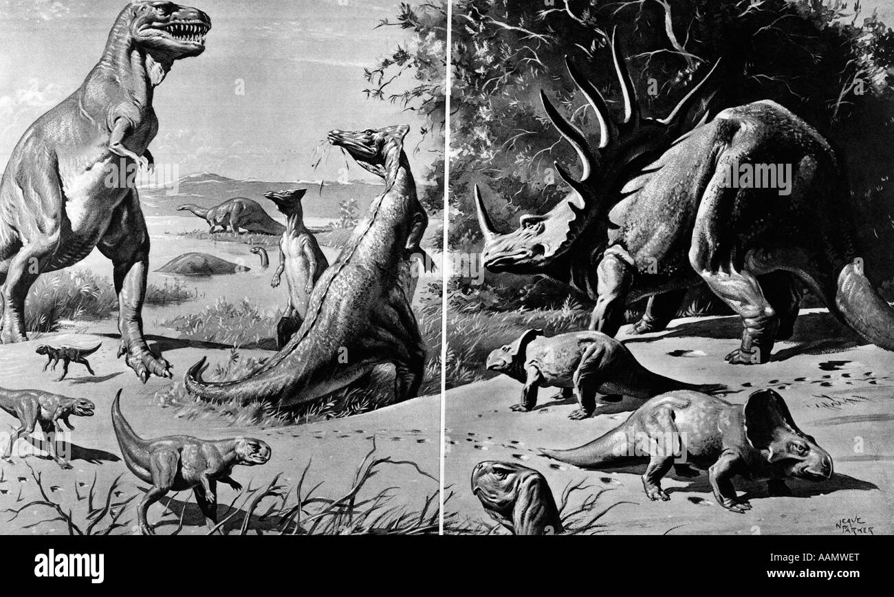L'élaboration de divers dinosaures et reptiles dans le désert de Gobi DISPARUE GRAND JURASSIQUE ÈRE CRÉTACÉE des monstres gigantesques Banque D'Images