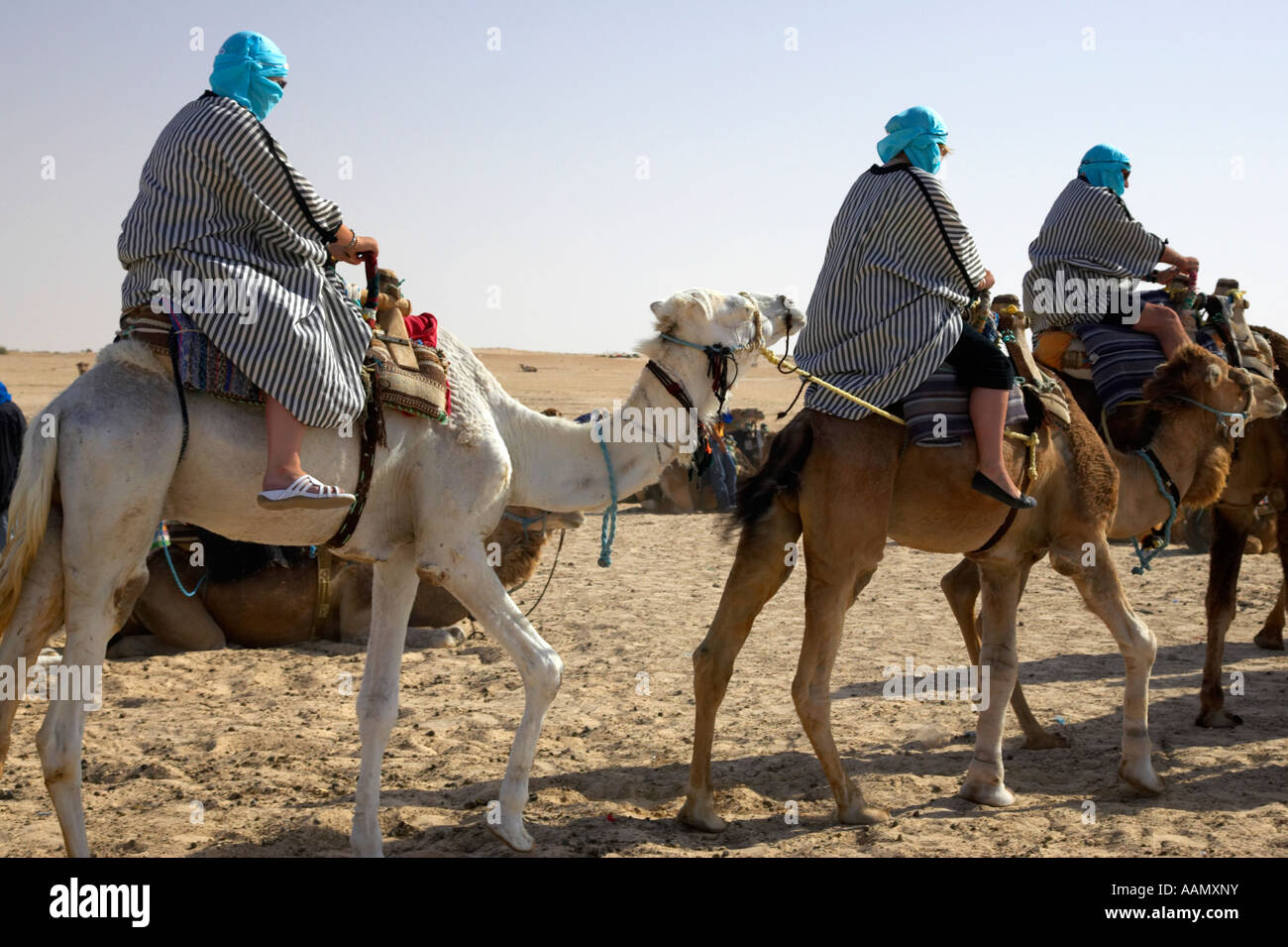 Groupe de touristes habillés pour la chaleur se déplacer au loin dans le désert du sahara à Douz, Tunisie sur des chameaux Banque D'Images