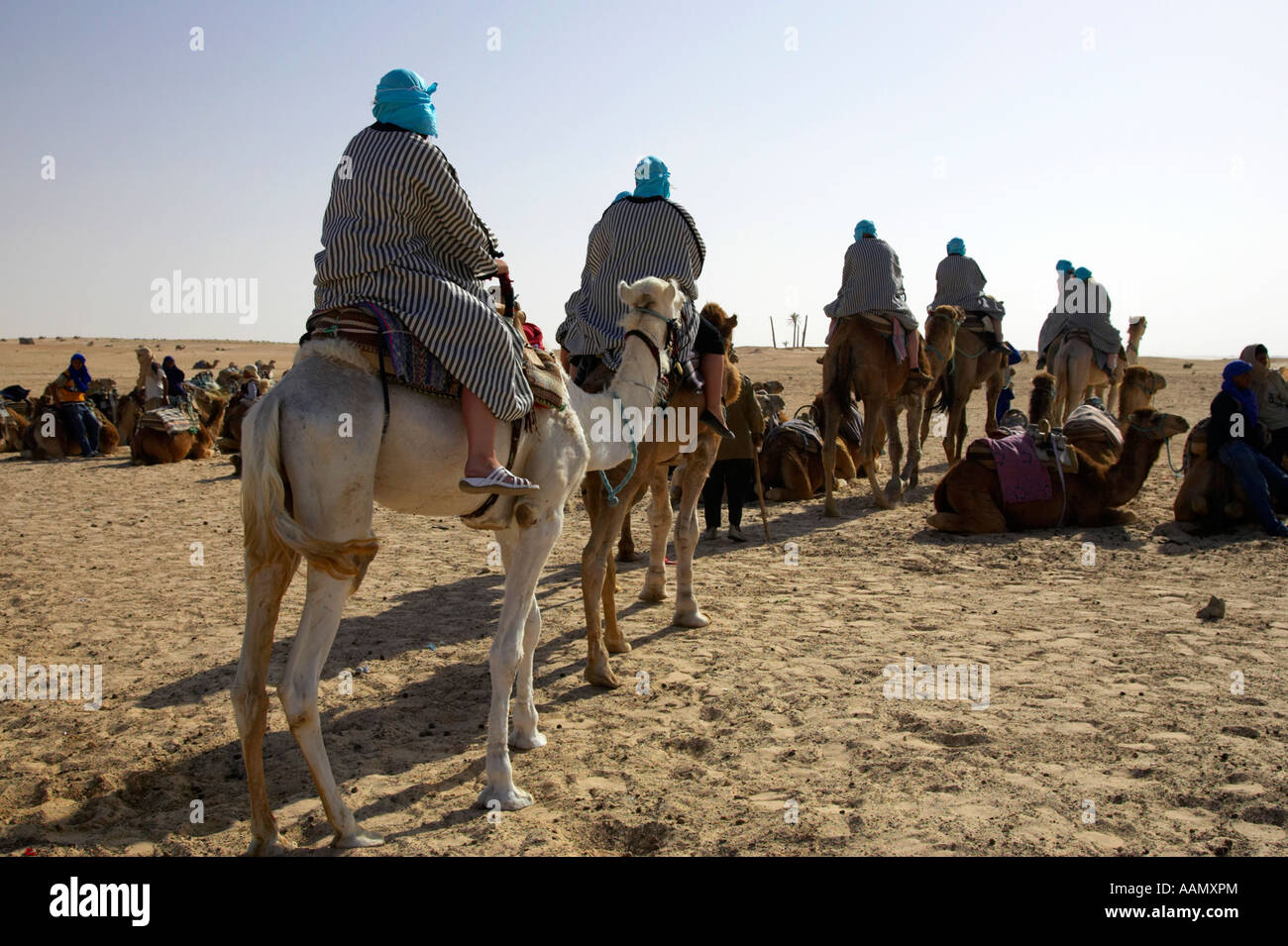 Ligne de touristes sur un tour de chameau dans le désert du sahara à Douz, Tunisie Banque D'Images