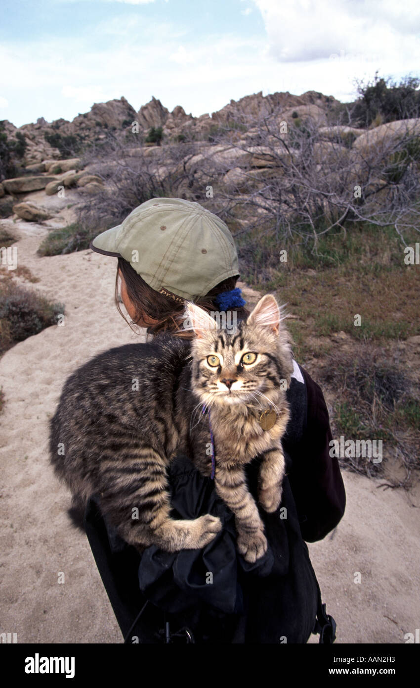 Une femme avec son chat sur un rucsack sur son dos à Joshua Tree. Banque D'Images