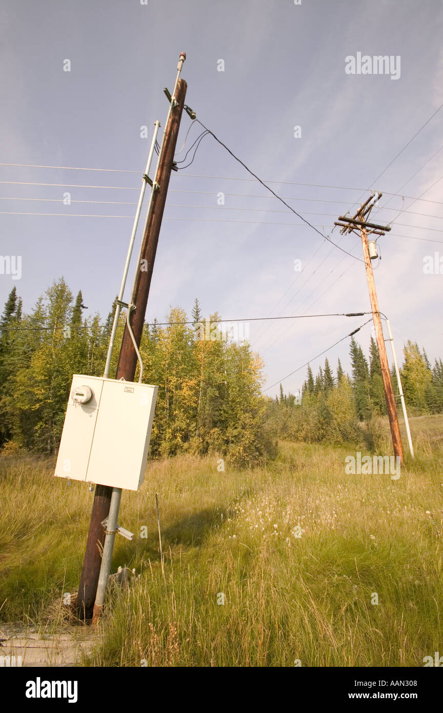 Se penchant poteaux télégraphiques causés par le réchauffement de la fonte du pergélisol de l'Alaska Banque D'Images