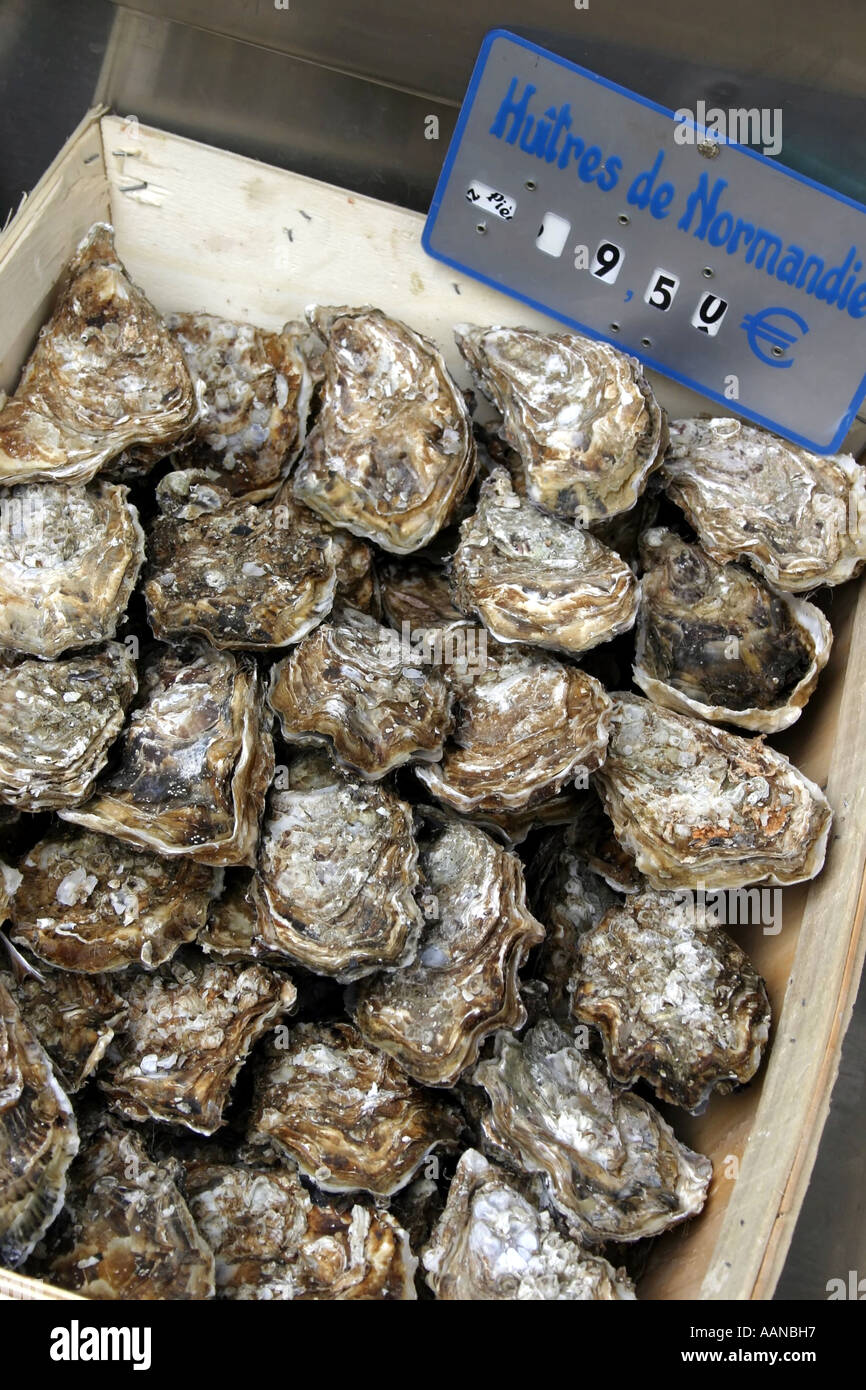Les huîtres de Normandie à vendre dans la rue du marché, Boulevard Saint Germaine, Quartier Latin, Paris, France Banque D'Images
