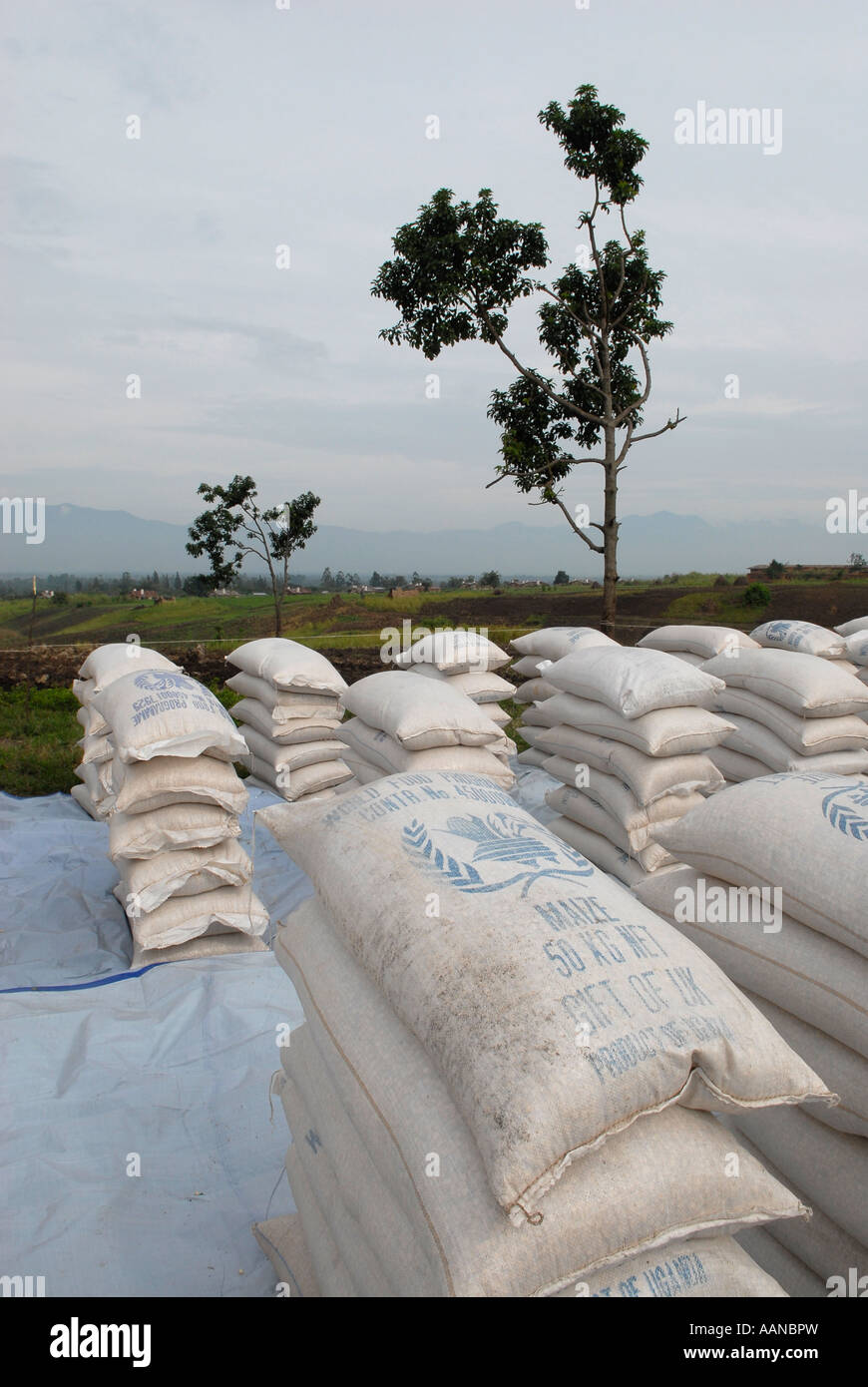 Piles de grands sacs contenant du mélange de maïs-soja au point de distribution du PAM du Programme alimentaire mondial dans la province du Nord-Kivu, RD Congo Afrique Banque D'Images