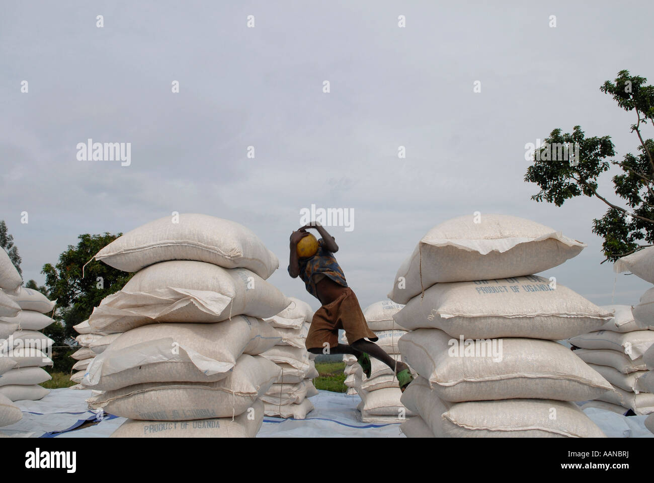 Les jeunes personnes déplacées Garçon jouant au milieu des sacs de denrées alimentaires de base à un programme alimentaire mondial LE PAM distribution point au Nord Kivu, RD Congo Banque D'Images