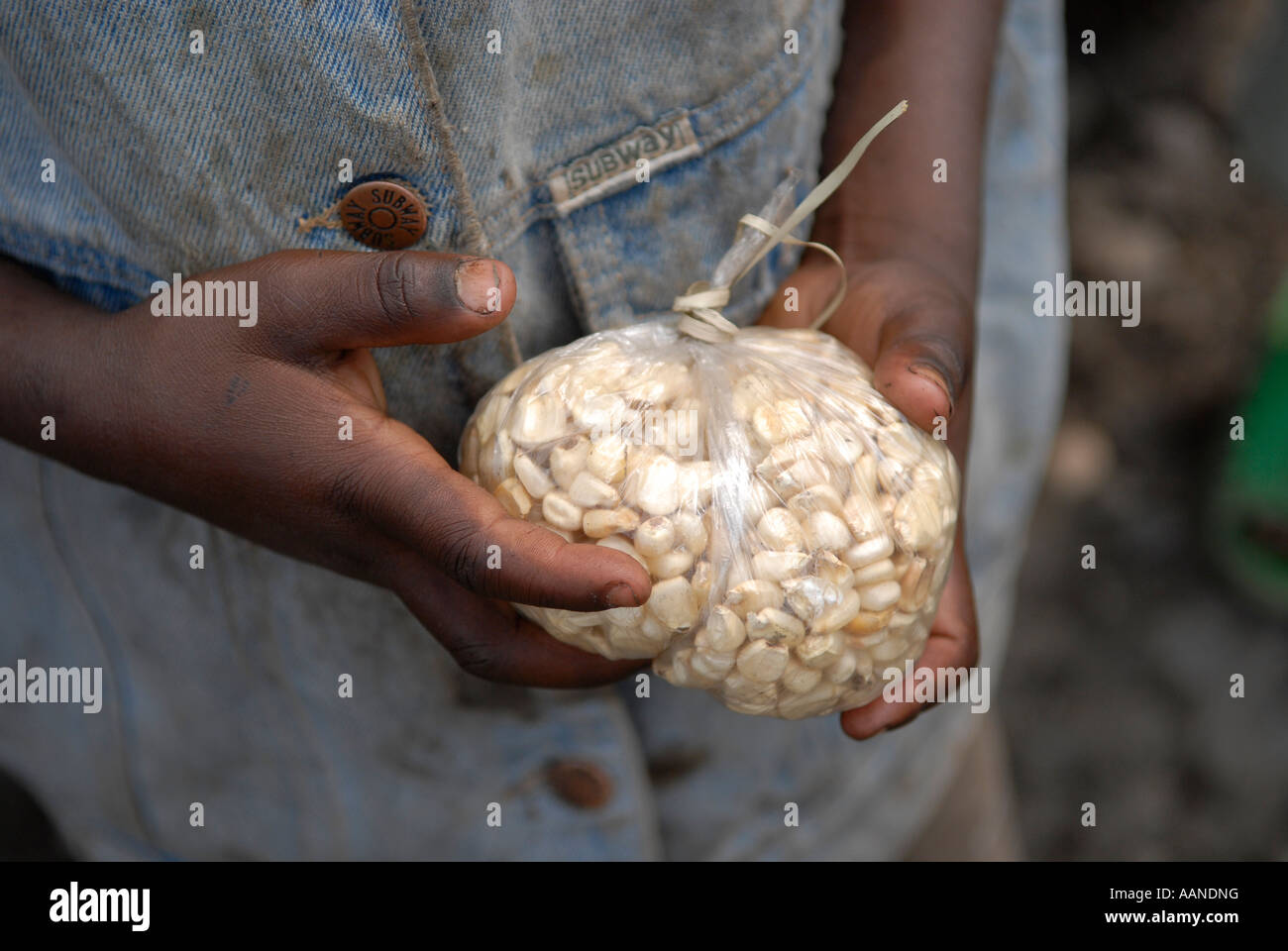 Un jeune garçon détient une liasse de céréales dans la province du Nord-Kivu, RD Congo Afrique Banque D'Images