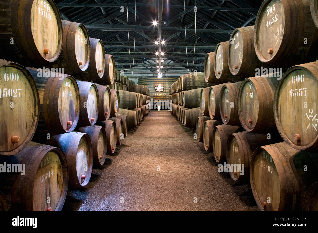 Barils de Tawny Port au vin Taylors Lodge Vila Nova de Gaia, près de Porto, Portugal Banque D'Images