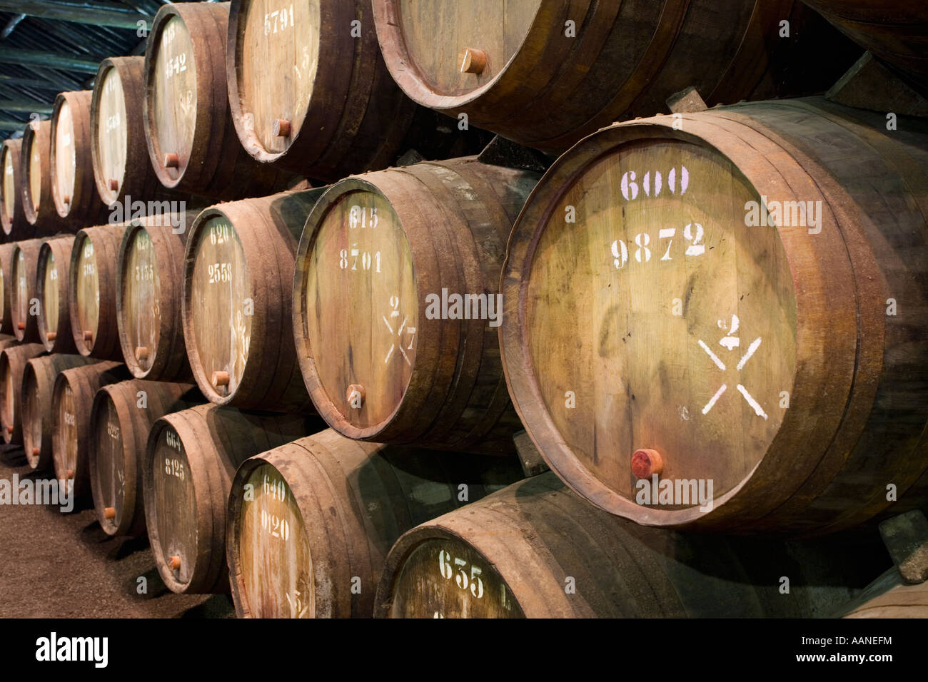 Barils de Tawny Port au vin Taylors Lodge Vila Nova de Gaia, près de Porto, Portugal Banque D'Images
