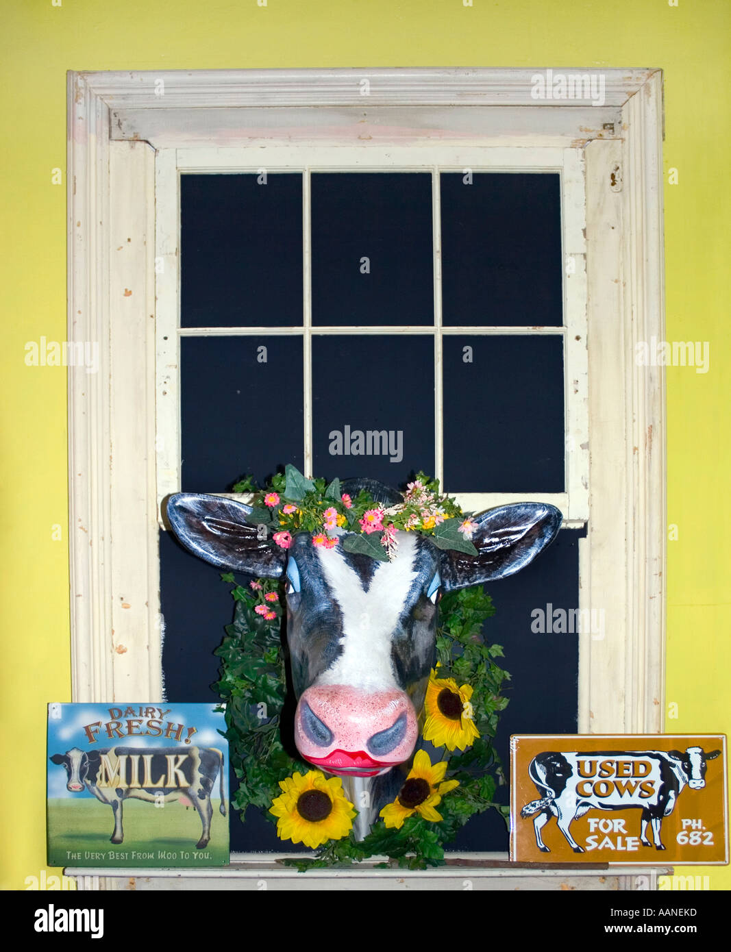 Sculpture de vache dans une fenêtre avec des panneaux de lait vintage à Bennington, Vermont, évoque l'héritage laitier nostalgique et le charme Americana d'une petite ville. Banque D'Images