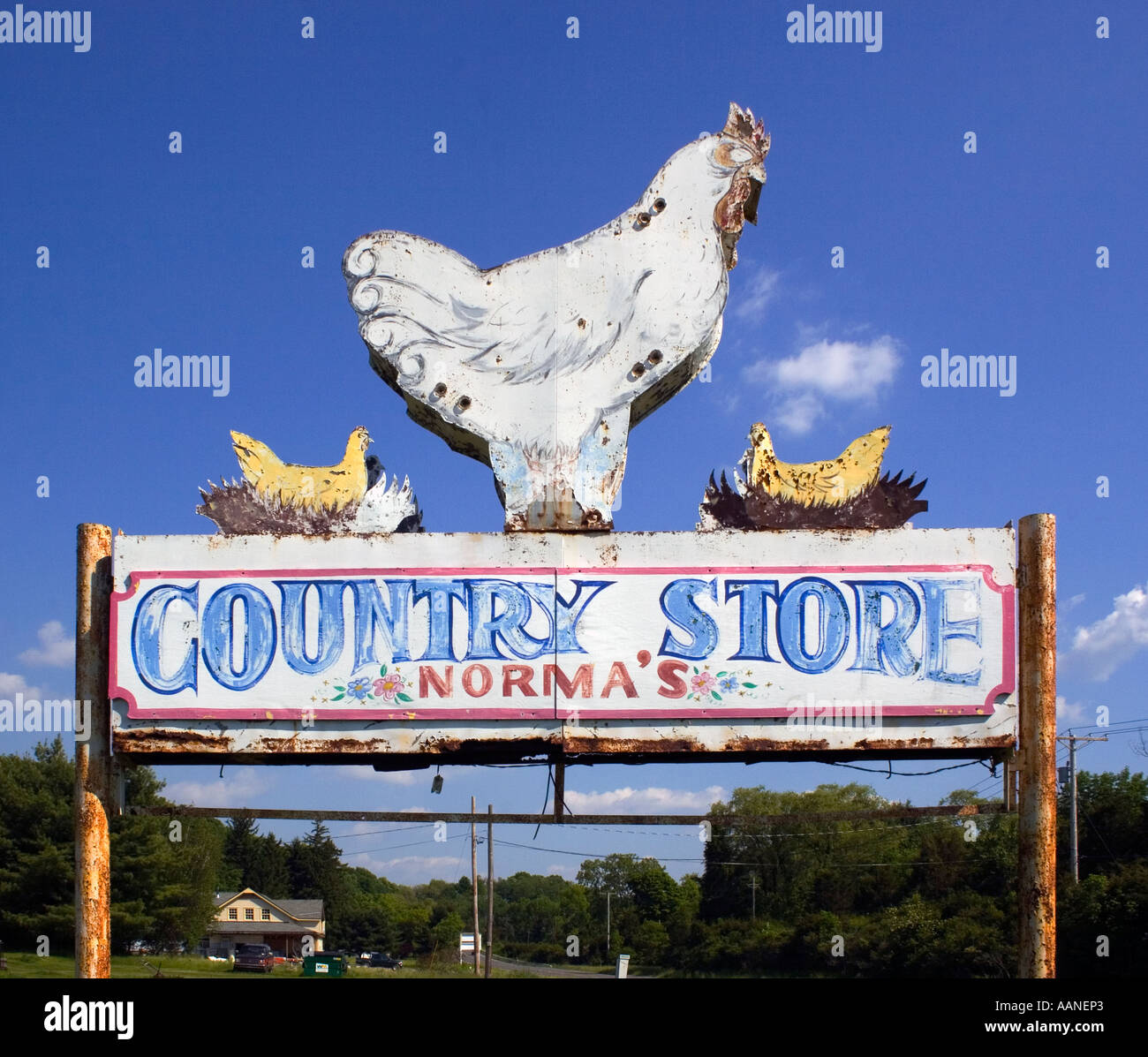Normas Country Store signe est tout ce qui reste de cette ancienne épicerie dans Red Hook New York Banque D'Images
