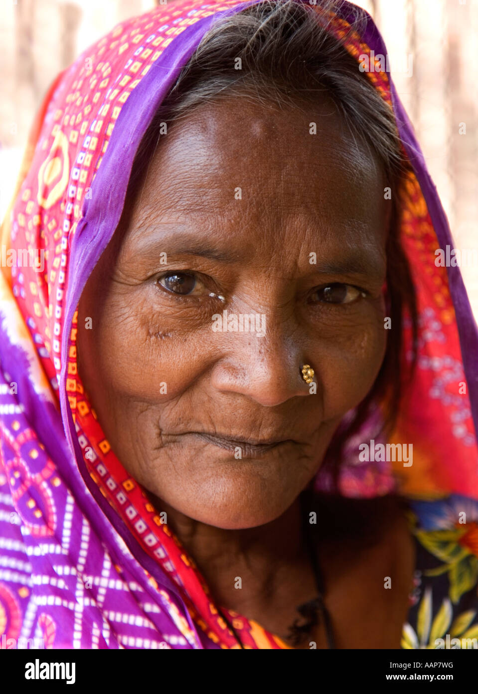 Portrait d'une vieille dame portant un sari indien et un nez stud. Banque D'Images