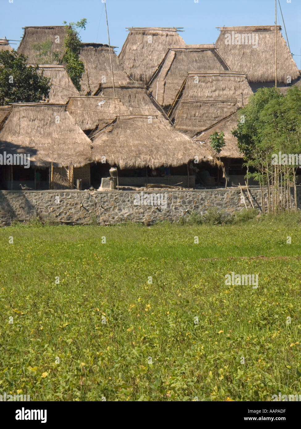 Village Sasak traditionnels Rembitan Sade Lombok en Indonésie Banque D'Images