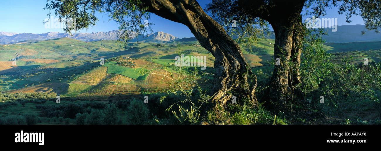 La Sierra de Alhama Andalousie Espagne Banque D'Images