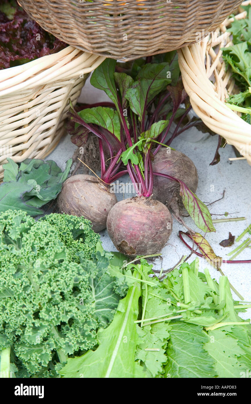 Les betteraves organiques sur un décrochage entre les deux paniers au marché local. Banque D'Images