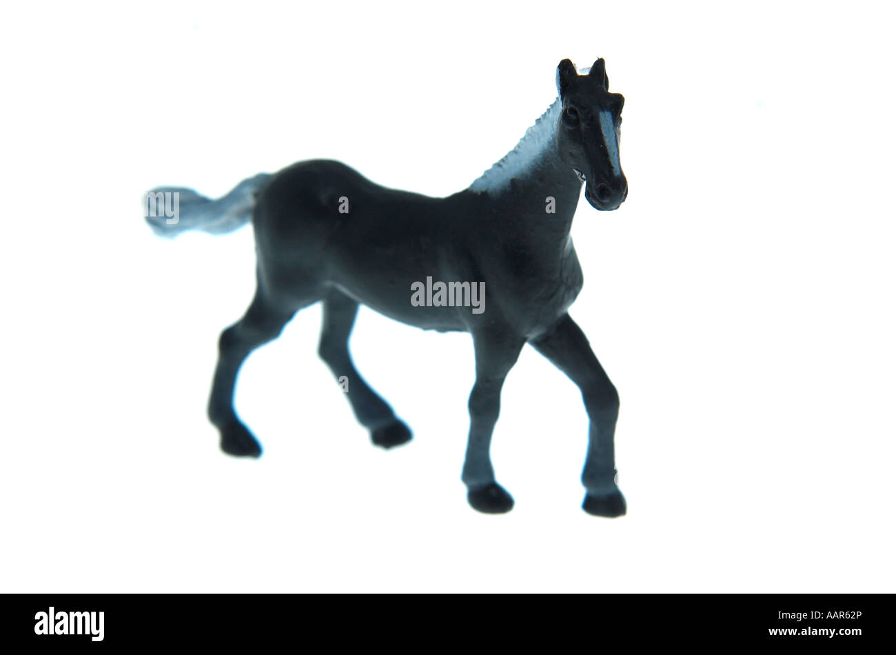 Un solo dark haired horse black white mane en posent au galop Banque D'Images