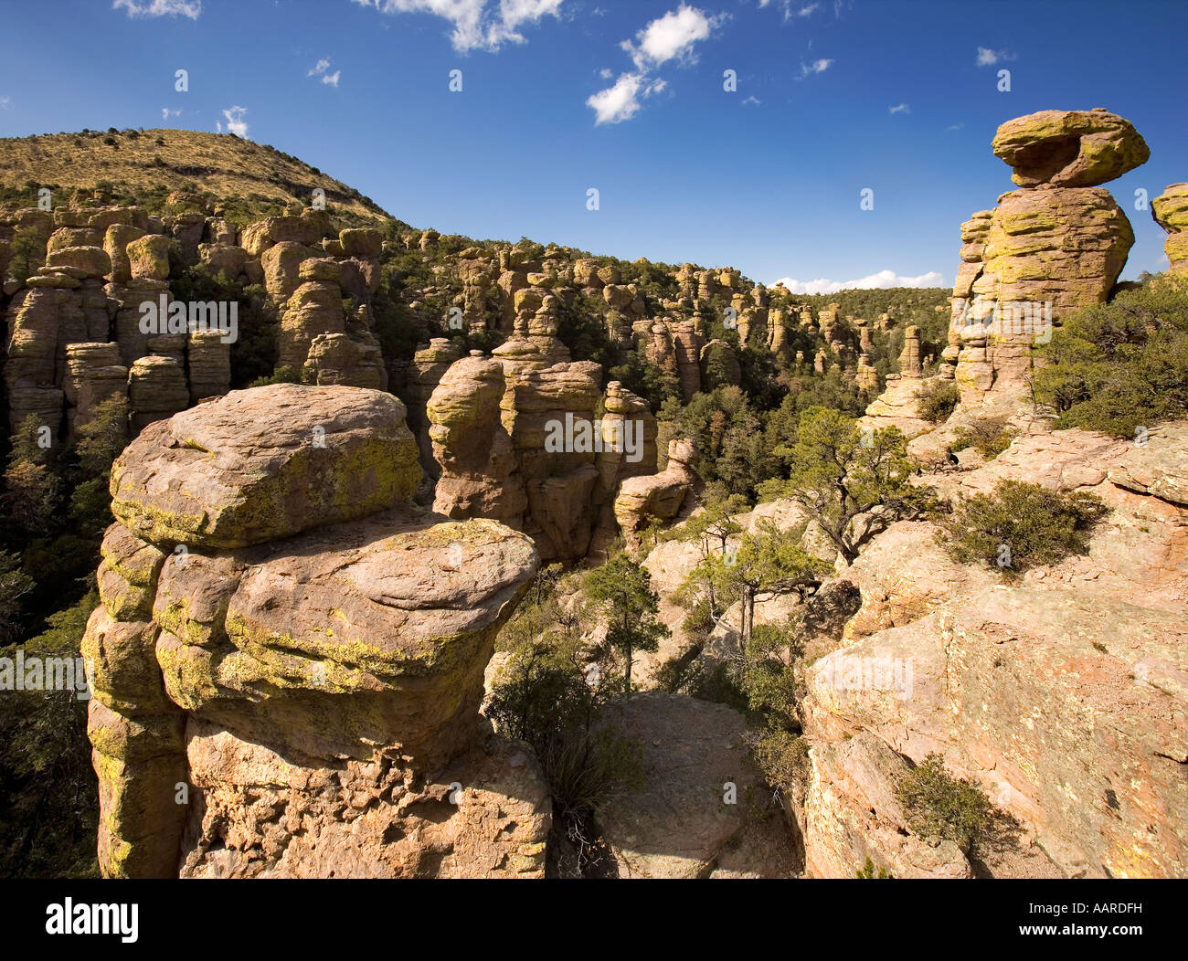 Pays des pierres debout, dépôts de rhyolite volcanique Monument National Chiricahua Arizona Banque D'Images