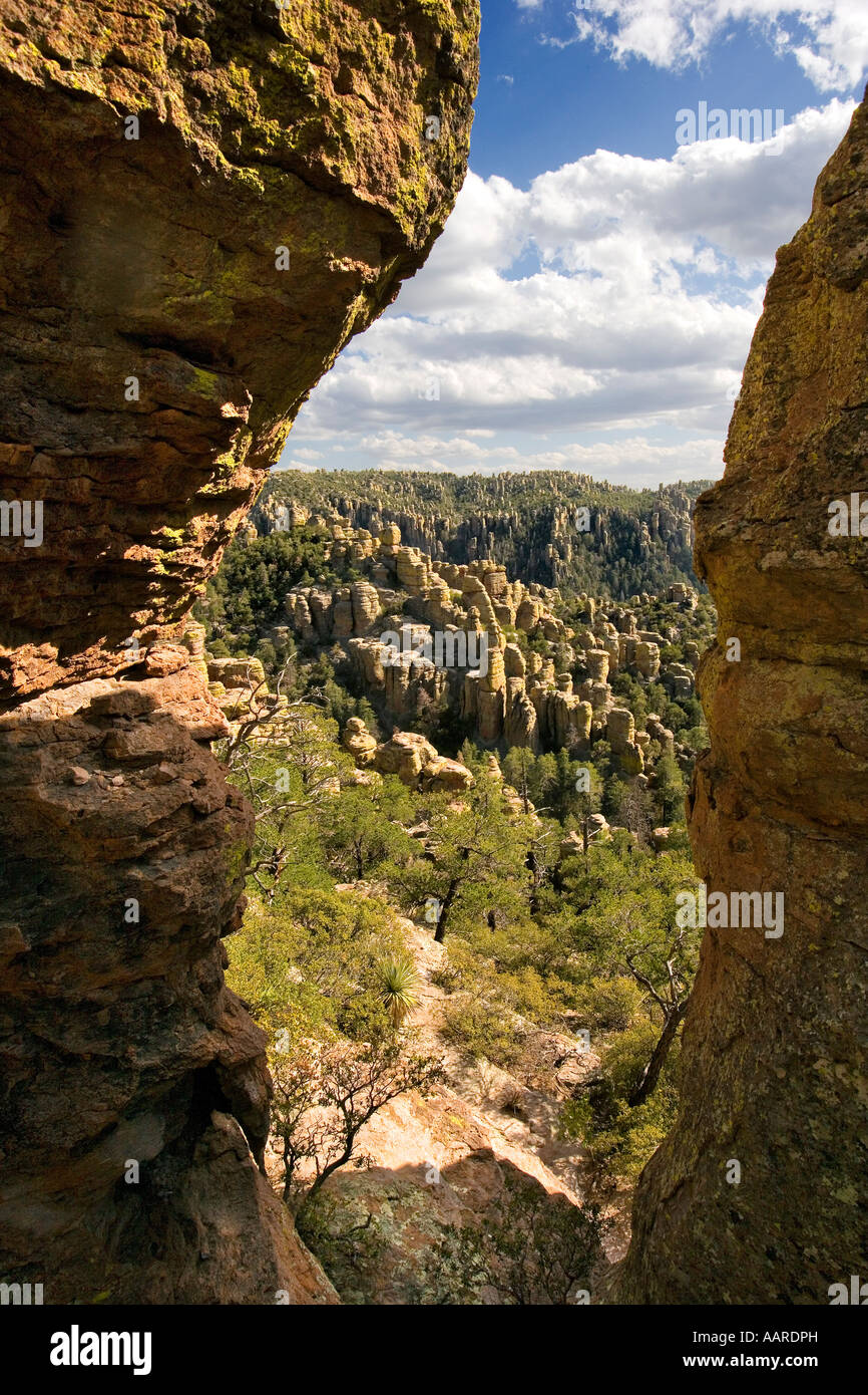 Pays des pierres debout, Monument National Chiricahua Arizona Banque D'Images