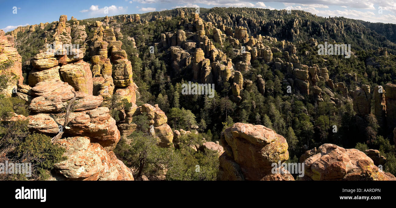 Pays des pierres debout, Monument National Chiricahua Arizona Banque D'Images