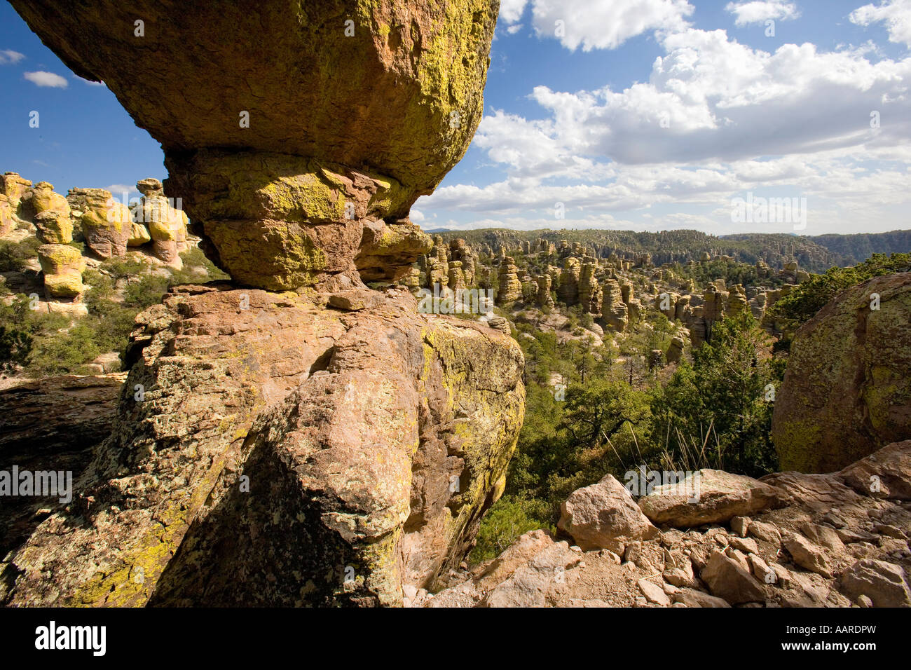 Pays des pierres debout, Monument National Chiricahua Arizona Banque D'Images