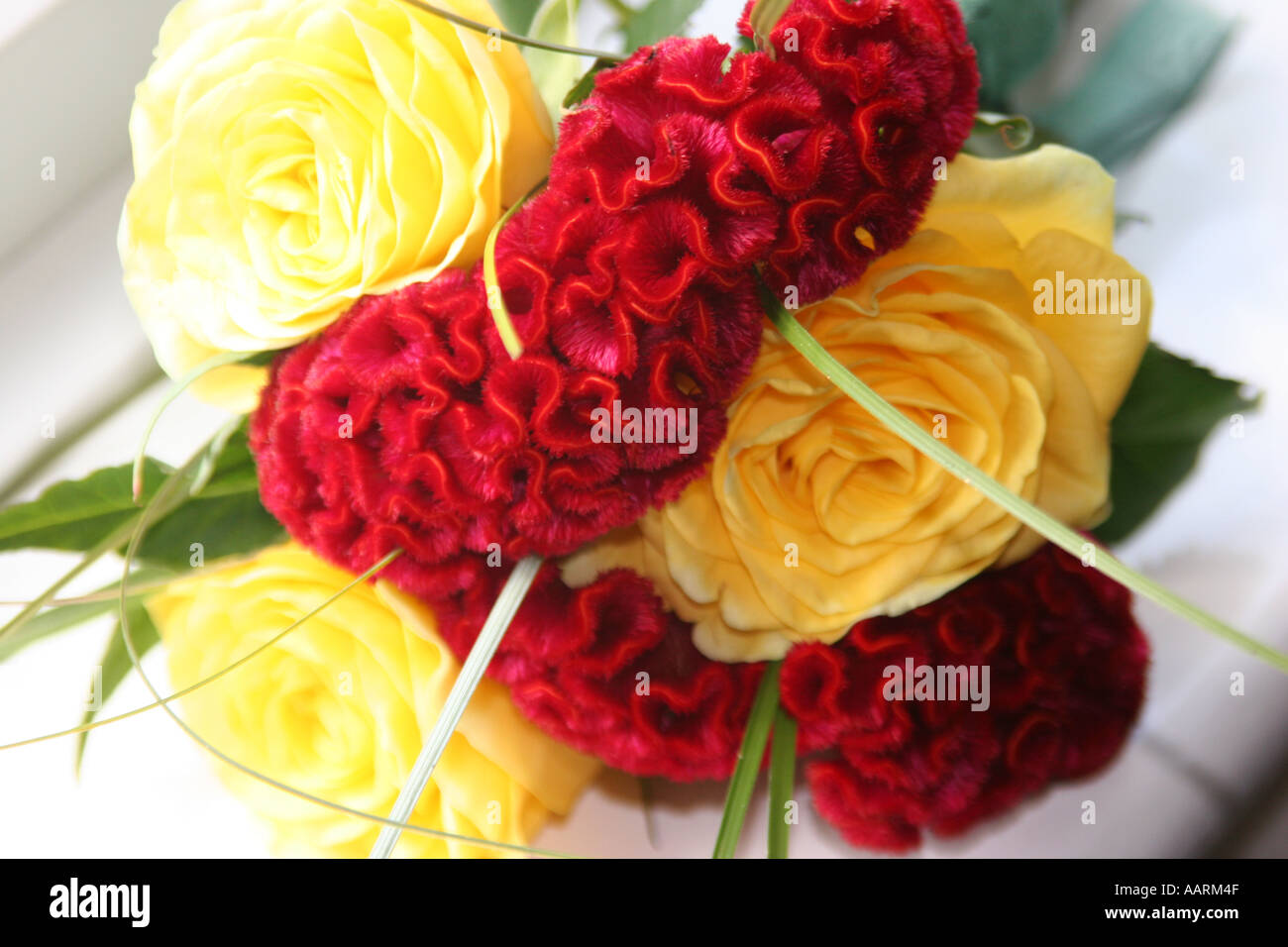 Fleurs rouge et jaune handtied Banque D'Images