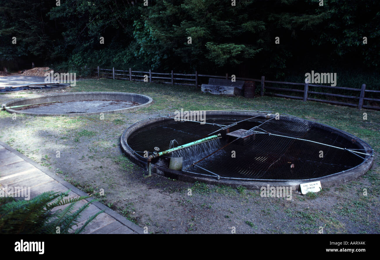 L'écloserie de Prairie Creek dans le comté de Humboldt en Californie aujourd'hui un monument national historique et de l'État Place Banque D'Images
