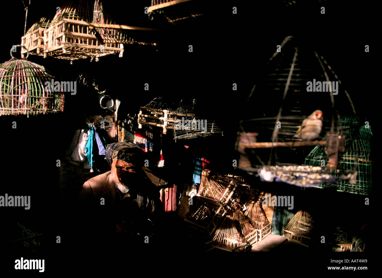 VENDEUR D'OISEAUX DANS LE CENTRE DE KABOUL EN AFGHANISTAN BEAUCOUP DE GENS GARDENT ANIMAUX DE COMPAGNIE DANS LES CAGES Banque D'Images