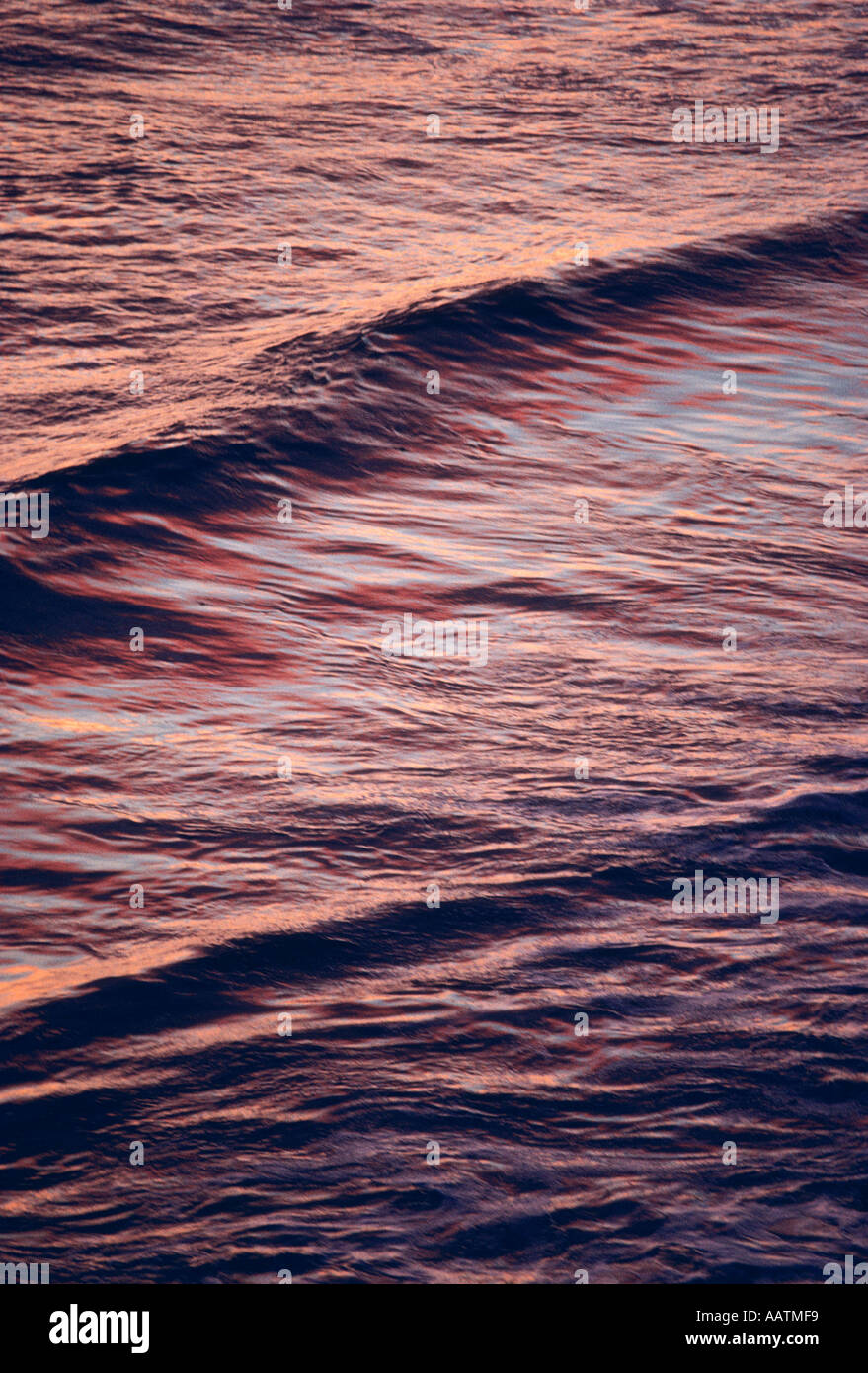 Détail de l'océan Pacifique au coucher du soleil La Jolla California USA Banque D'Images