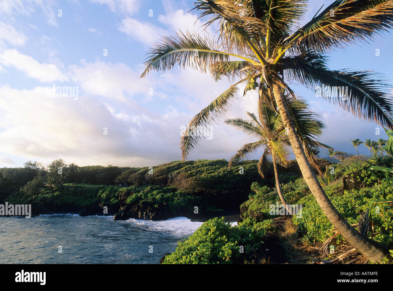 Des cocotiers et des rives du lac près de Hana au lever du soleil de l'île de Maui Hawaii USA Banque D'Images