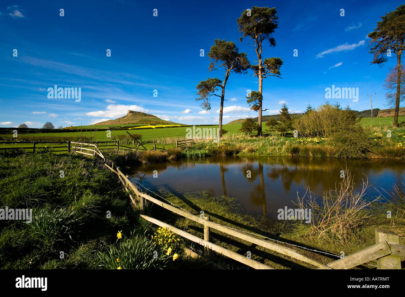 Roseberry Topping de l'étang à Aireyholme Farm North Yorkshire Banque D'Images