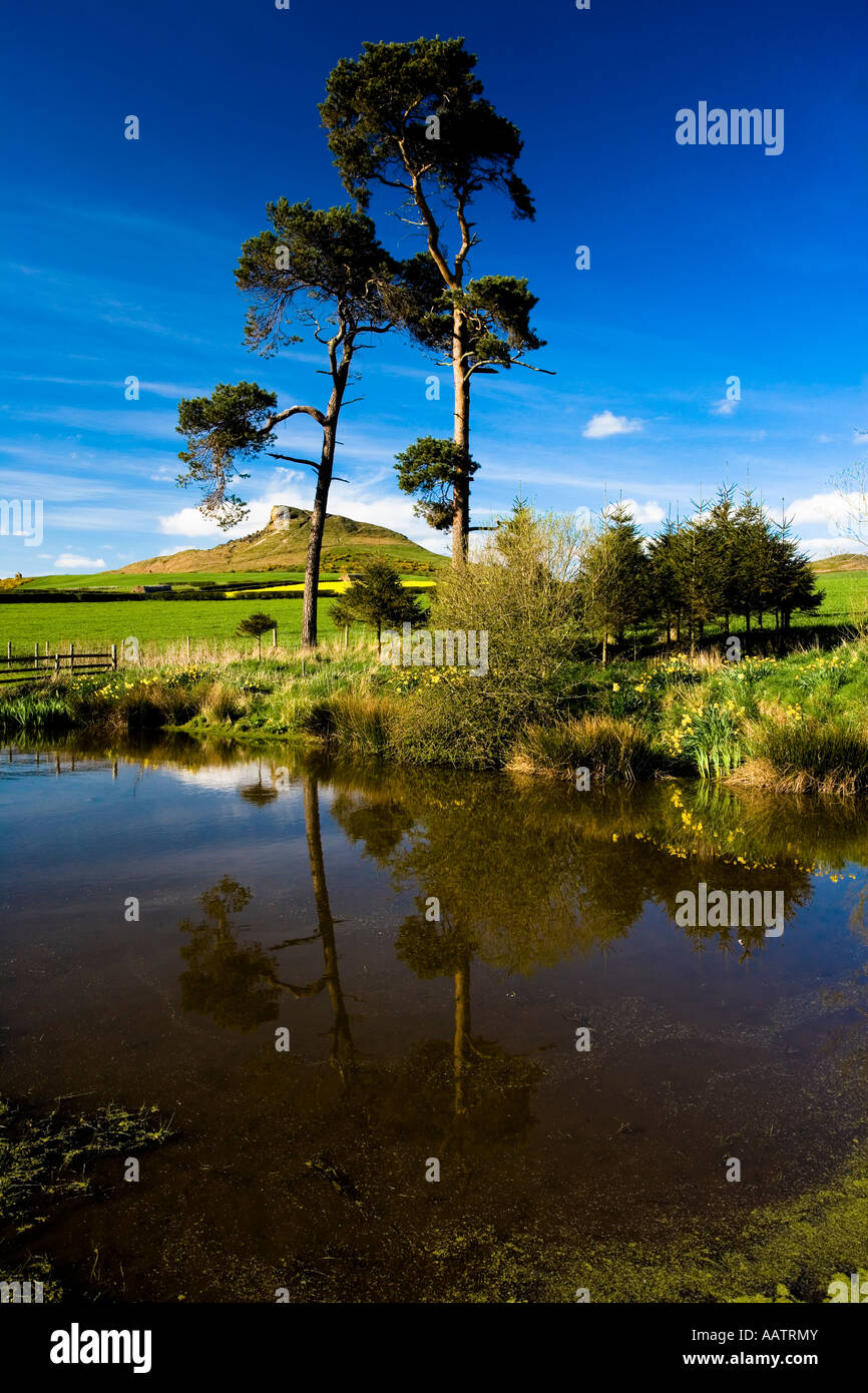 Roseberry Topping de l'étang à Aireyholme Farm North Yorkshire Banque D'Images