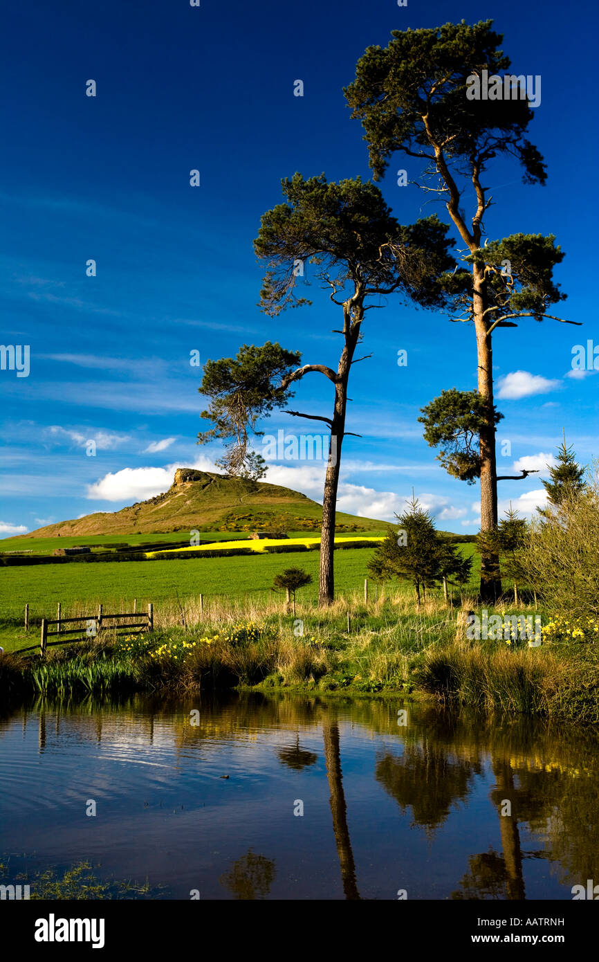 La garniture de l'églantier à Aireyholme Duck Pond Farm North Yorkshire Banque D'Images