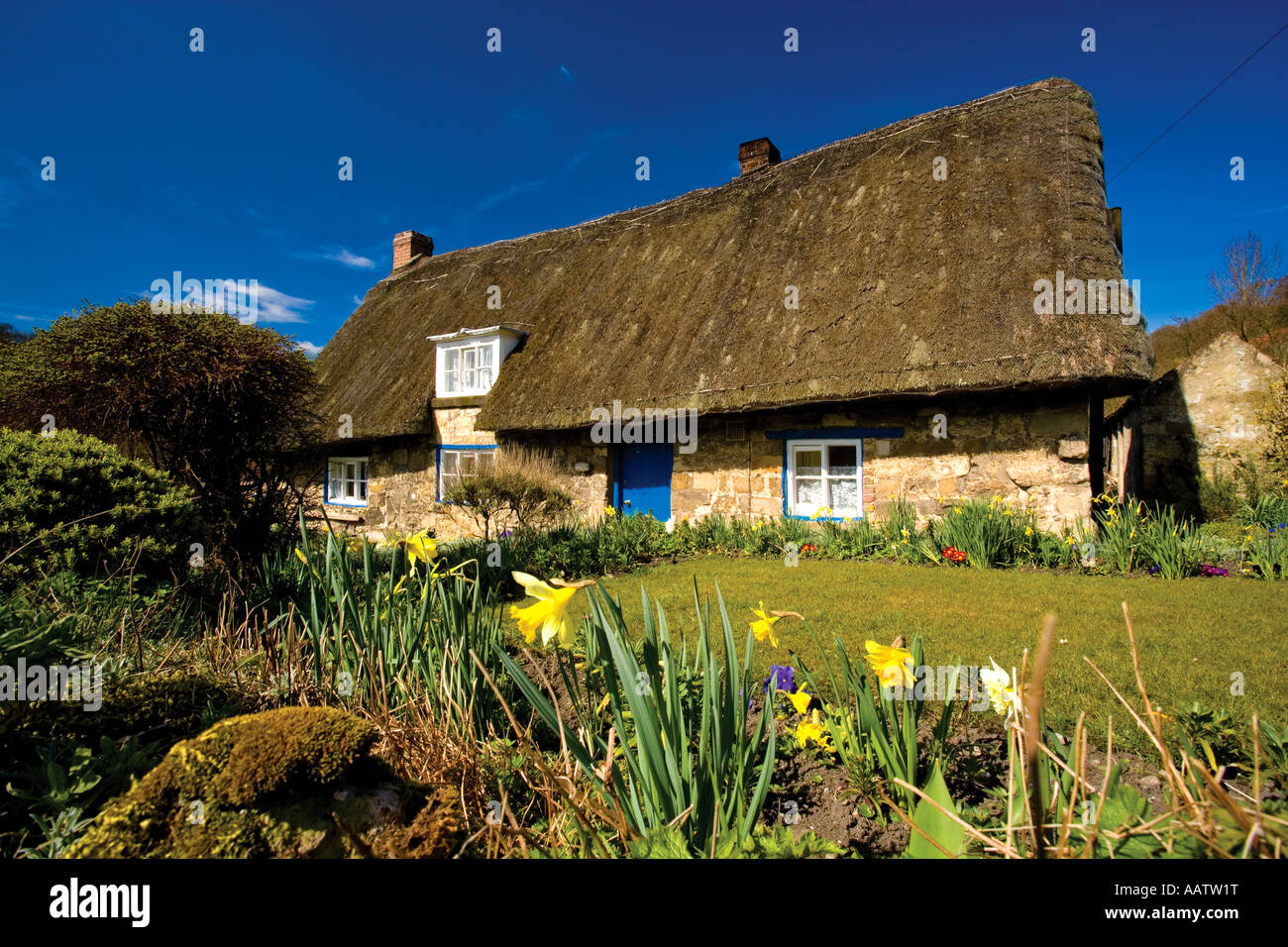 Thatched Cottage jardin au printemps Rievaulx Ryedale North Yorkshire Banque D'Images