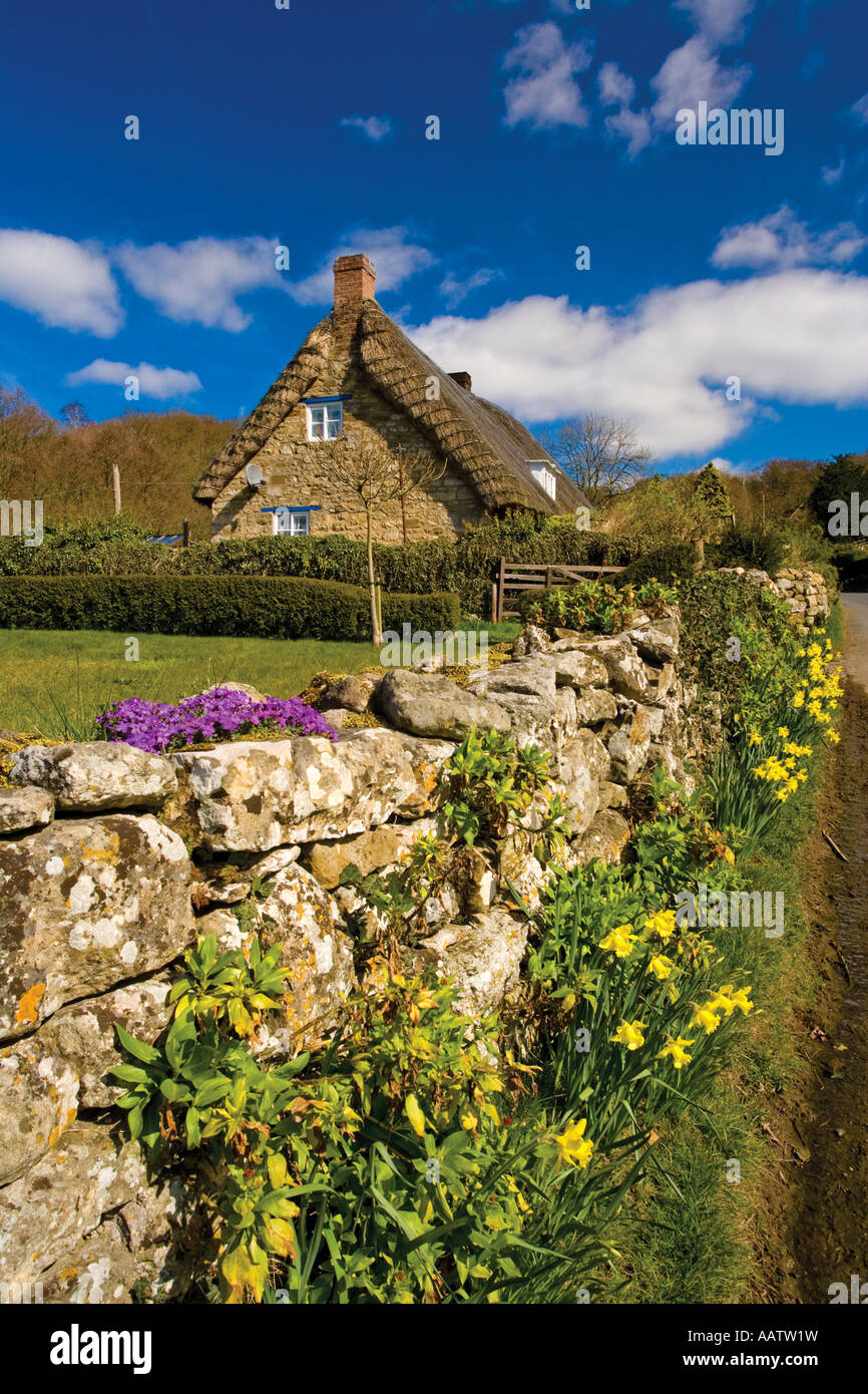 Thatched Cottage jardin au printemps Rievaulx Ryedale North Yorkshire Banque D'Images