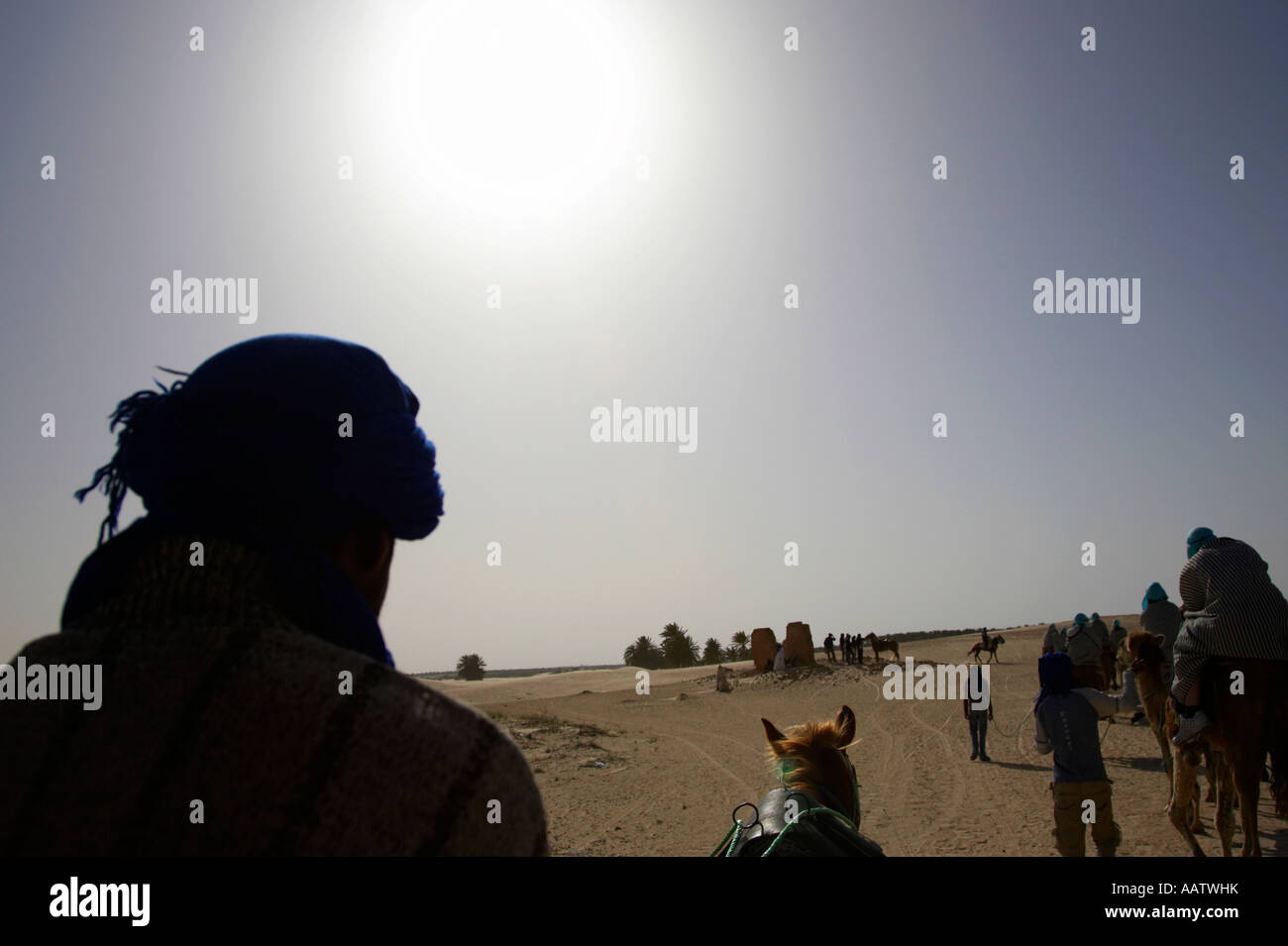 Un soleil qui plombe sur ligne de chameaux dans le désert du sahara à Douz, Tunisie Banque D'Images