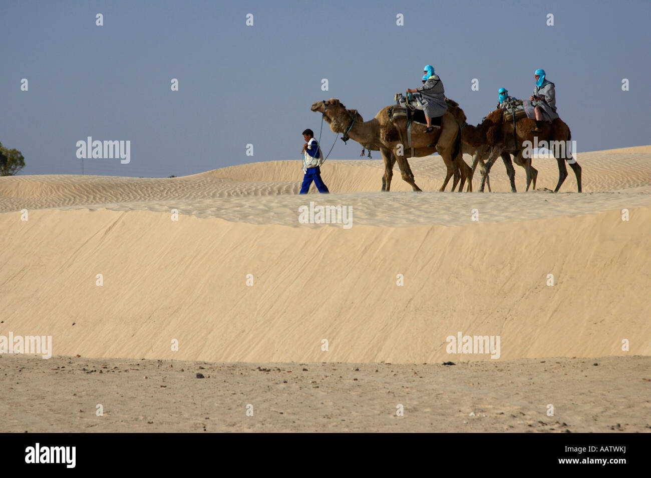 Les touristes à cheval sur les dromadaires à travers dunes de sable dans le désert du sahara à Douz, Tunisie Banque D'Images