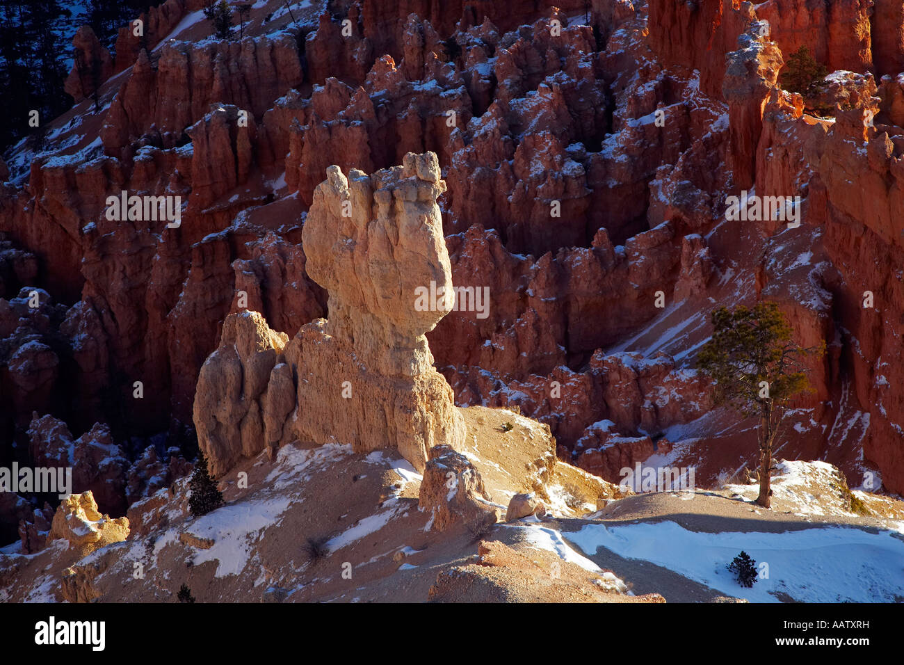 L'hiver dans le Parc National de Bryce Canyon Utah USA Banque D'Images