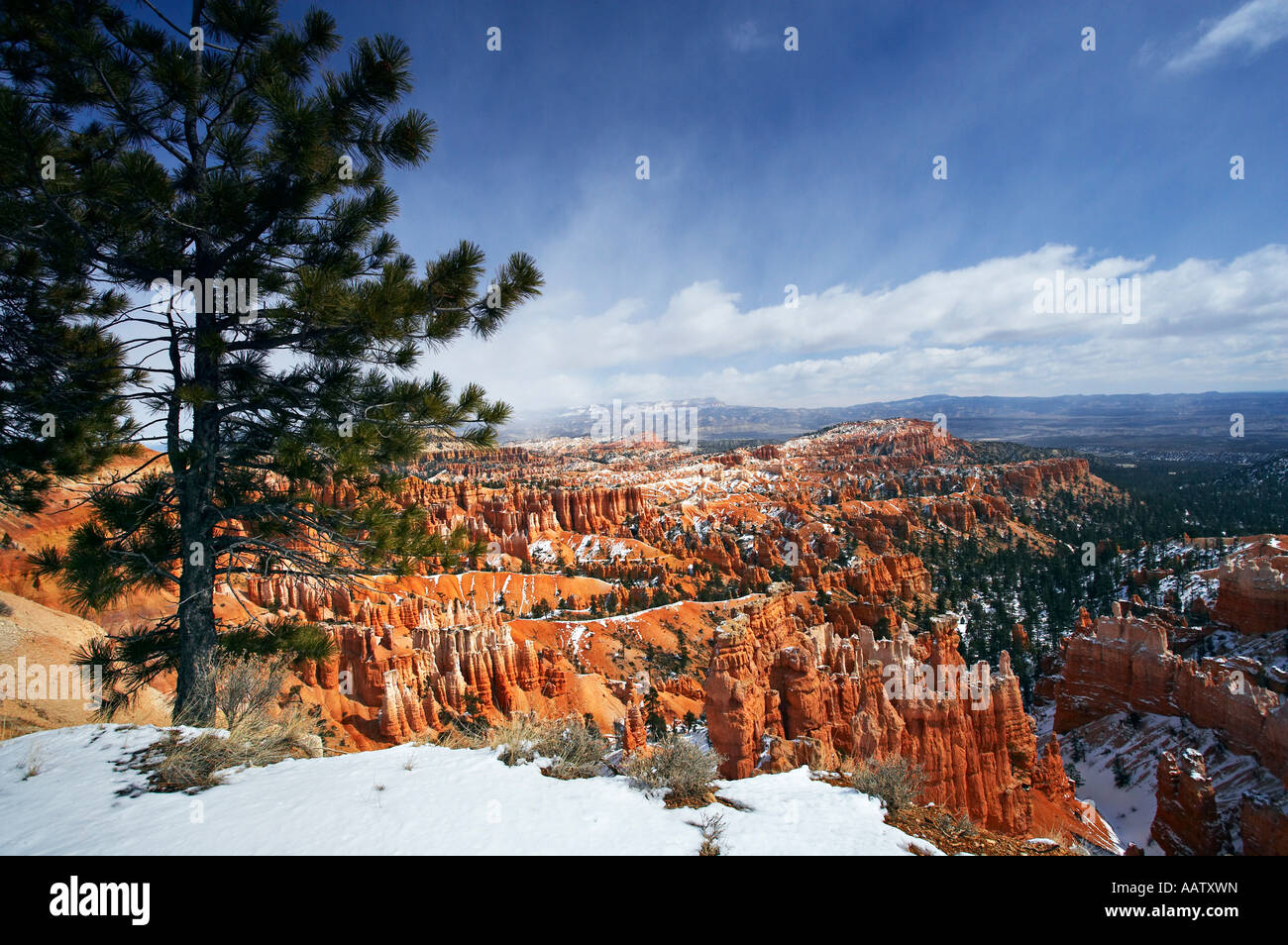 L'hiver dans le Parc National de Bryce Canyon Utah USA Banque D'Images