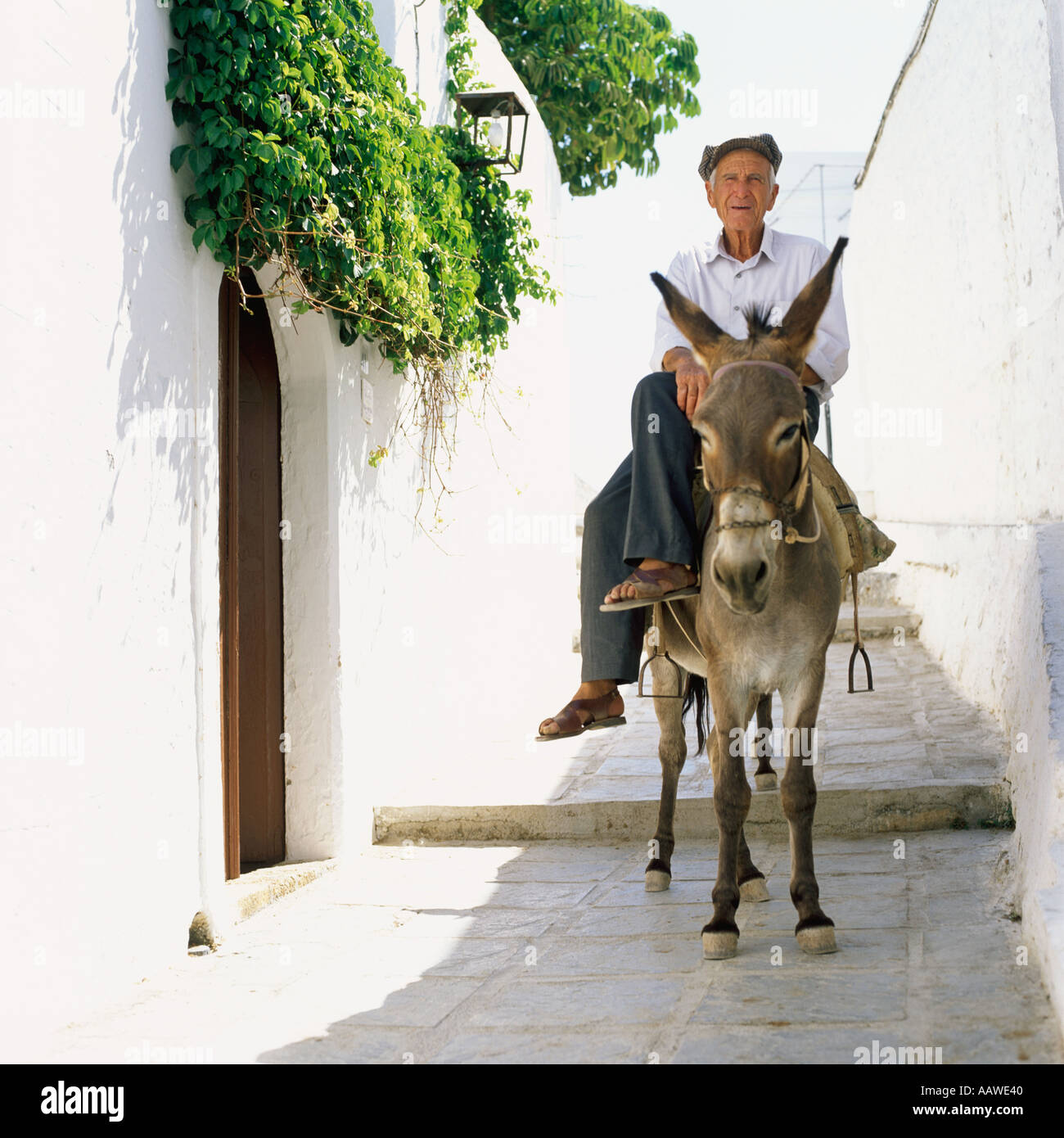 L'HOMME ET DE L'ÂNE LINDOS RHODES qui emmène les touristes JUSQU'À L'ACROPOLE Banque D'Images