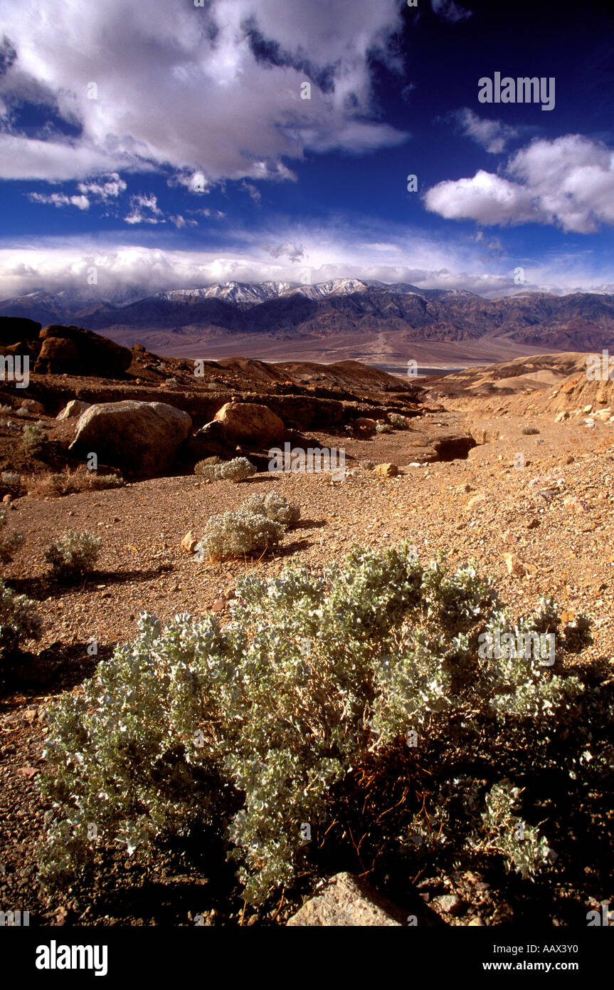 PDV-19 PANAMINT VONT DE LA PALETTE D'ARTISTES Banque D'Images