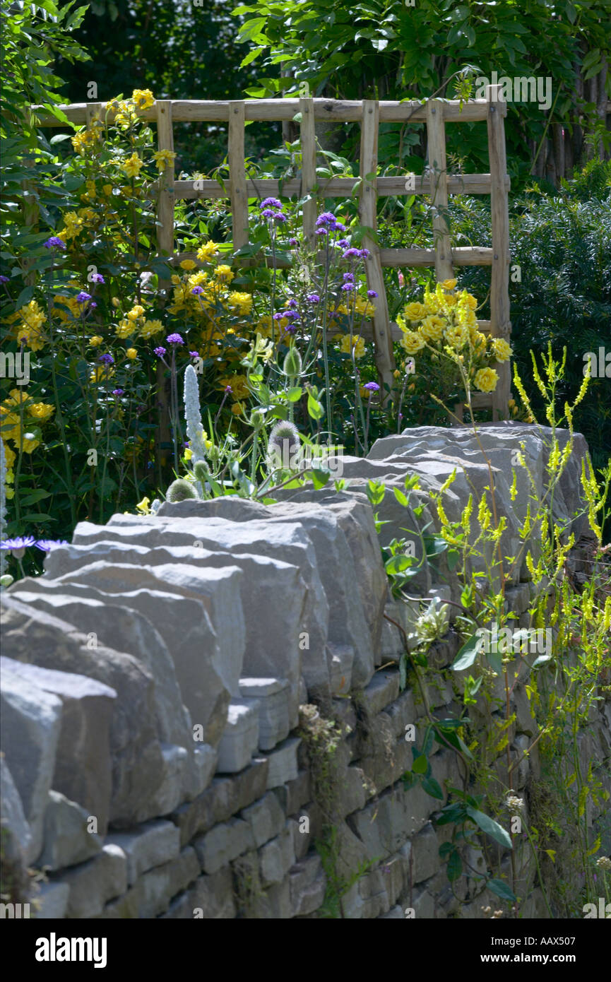 Mur de pierres sèches en pierre sèche communes bord de jardin avec trellis verbascum avec des roses Banque D'Images
