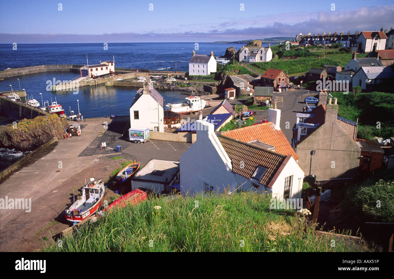 Le littoral de Britains petite port de pêche pittoresque de St Abbs sur la côte d'Ecosse Ecosse Berwickshire UK Banque D'Images