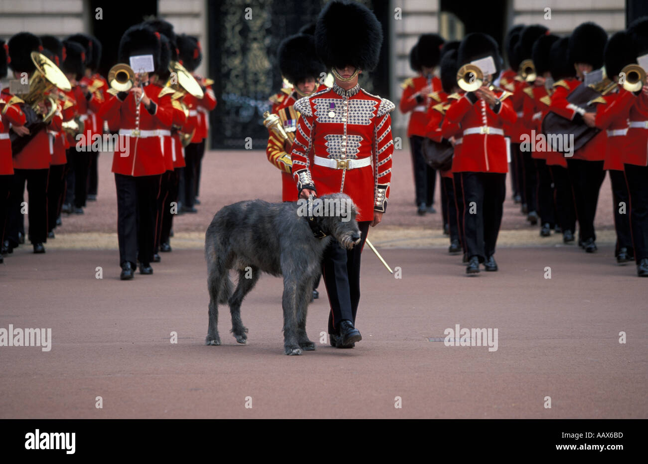 Le palais de Buckingham Parade la couleur Irish Guards Band avec woolfhound mascot London UK Banque D'Images