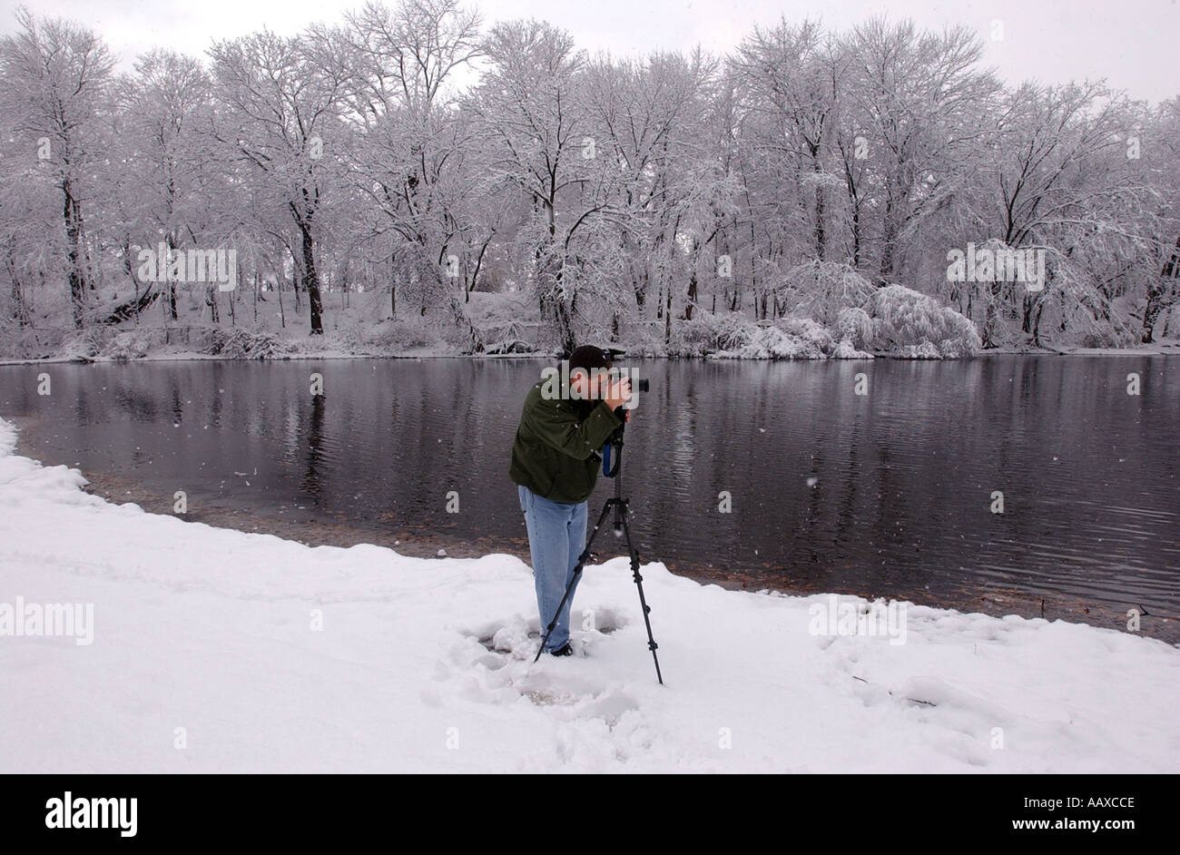 L'homme de prendre des photos de paysage après une tempête, car les arbres sont recouverts de neige Banque D'Images