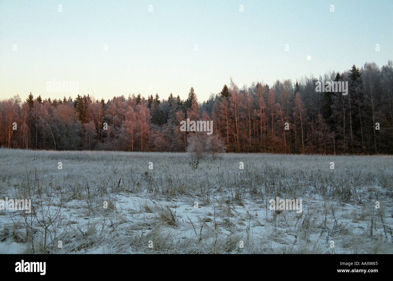 Au coucher du soleil d'hiver dans la campagne lettone Banque D'Images
