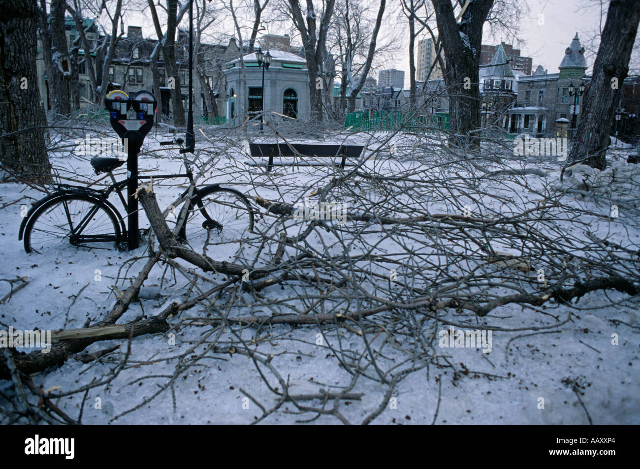 Tempête de glace Montréal Banque D'Images