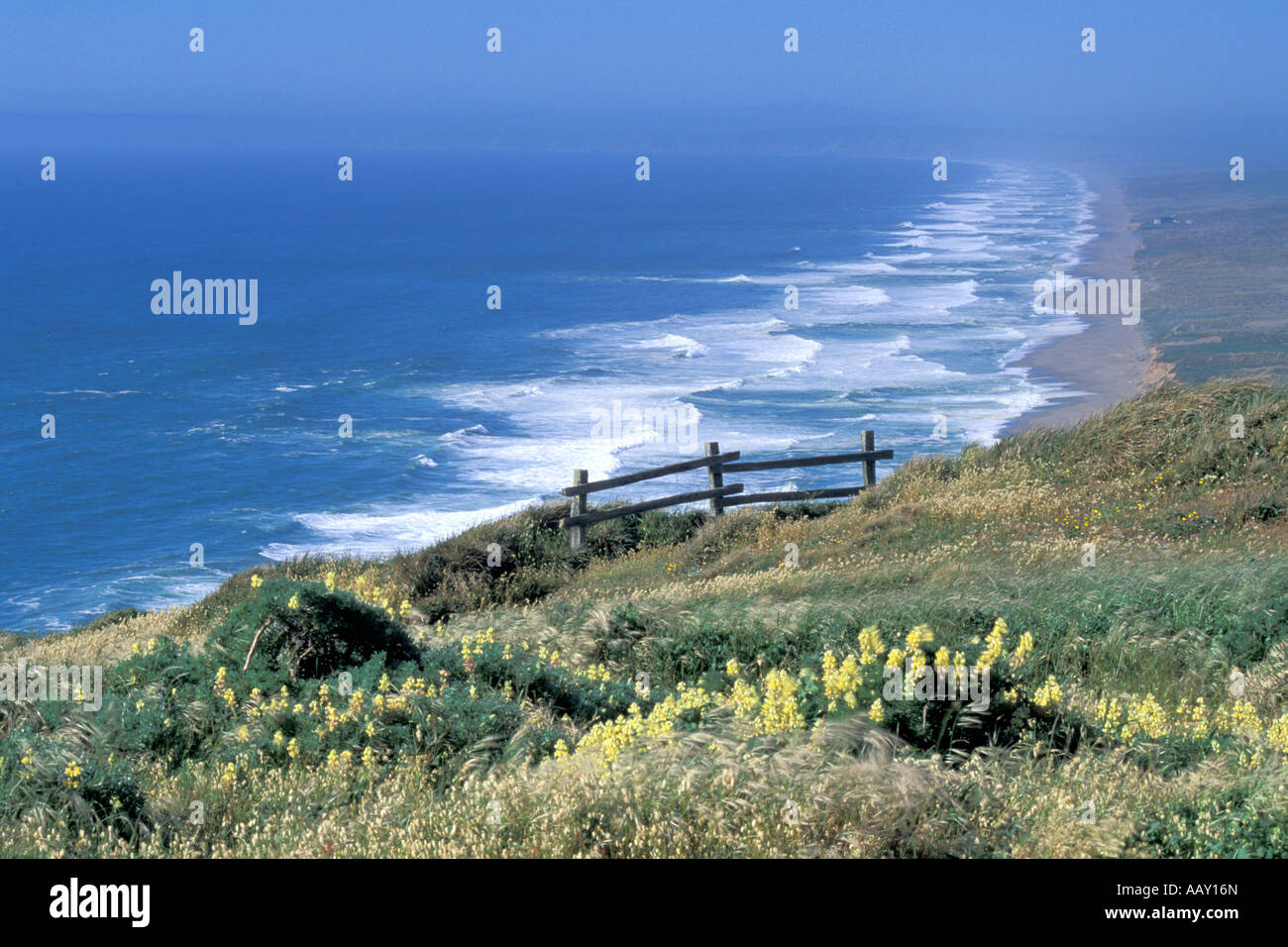 10 mile beach à Point Reyes National Seashore en Californie le long de l'océan Pacifique montrant les vagues et le ciel bleu Banque D'Images