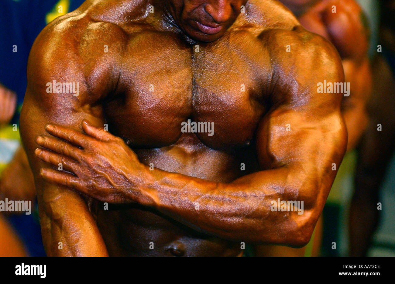 Homme giflant ses muscles avant l'univers de la concurrence. Mr 2003 Banque D'Images